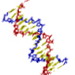 DNA_LOGO